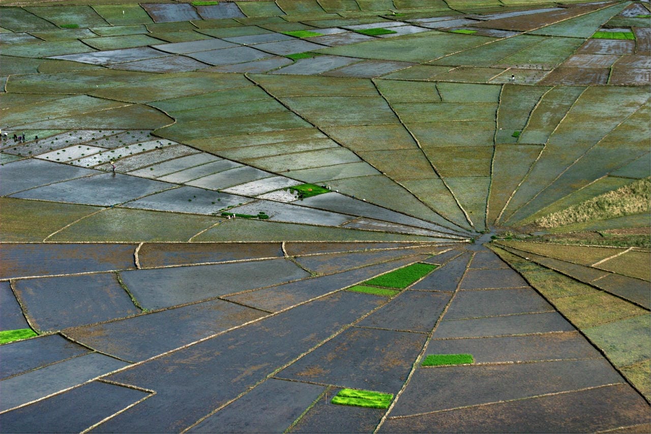 Spiderweb rice terraces